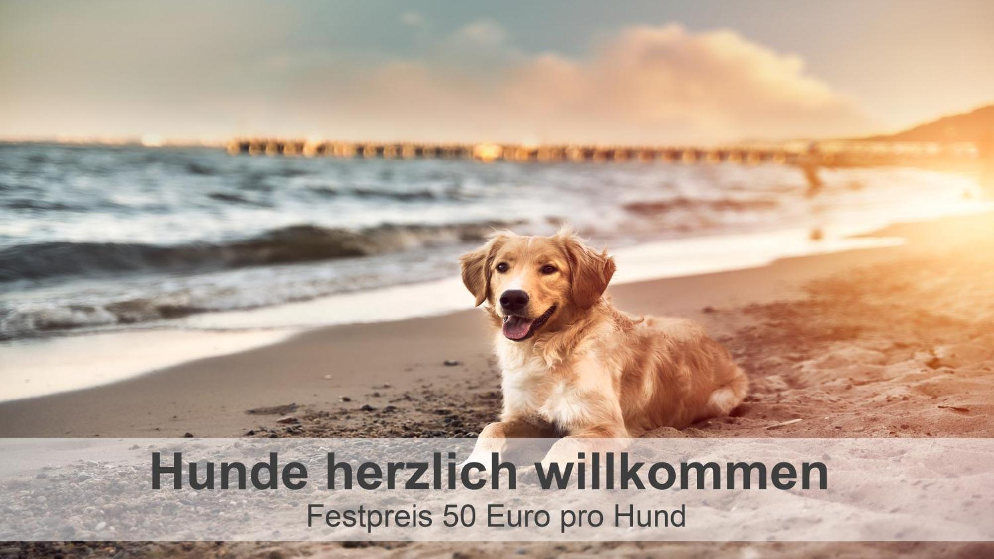 Gulfhof-Ferien Briese Lejlighed Großheide Eksteriør billede